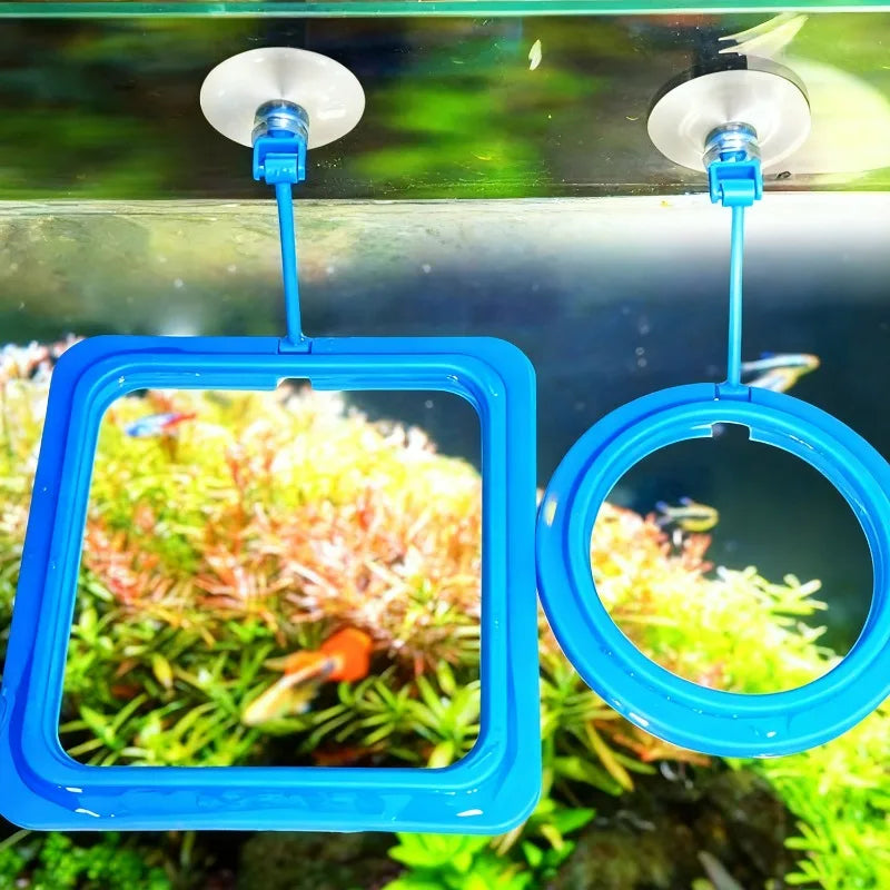 Aquarium Feeding Ring Fish Tank Station Floating Food Tray Feeder Square Circle Accessories Fish Foods Feeder With Suction Cup