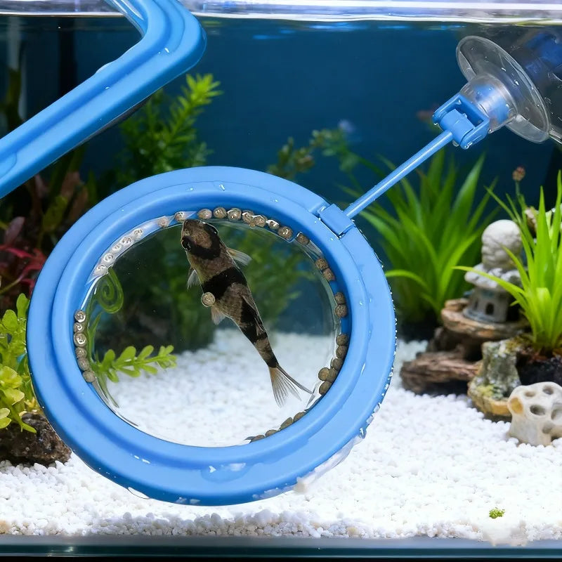 Aquarium Feeding Ring Fish Tank Station Floating Food Tray Feeder Square Circle Accessories Fish Foods Feeder With Suction Cup