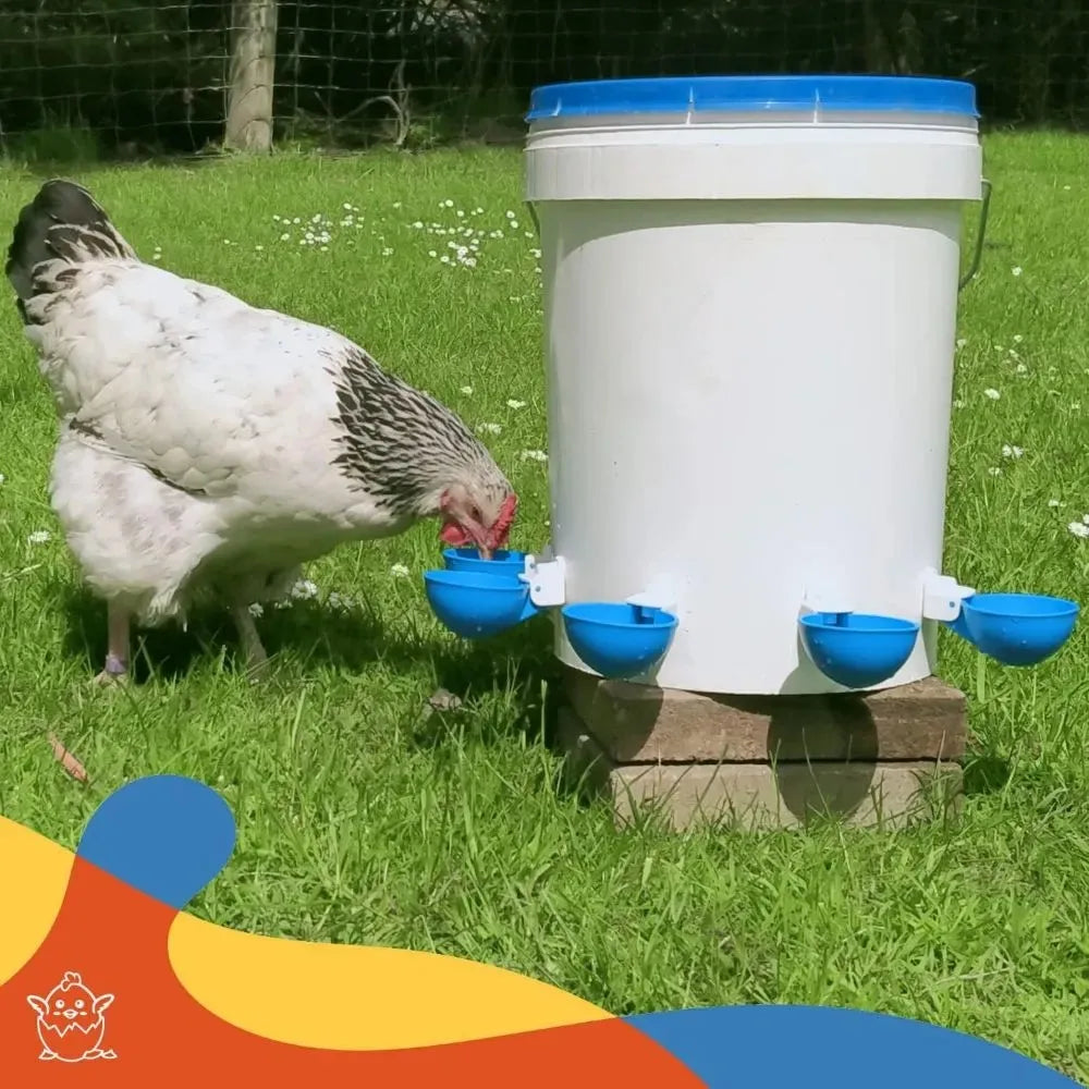 5PCS Poultry Kit Automatic Chicken Water Feeder Automatic Drinking Bowl Feeding Watering Supplie Chicken Waterer