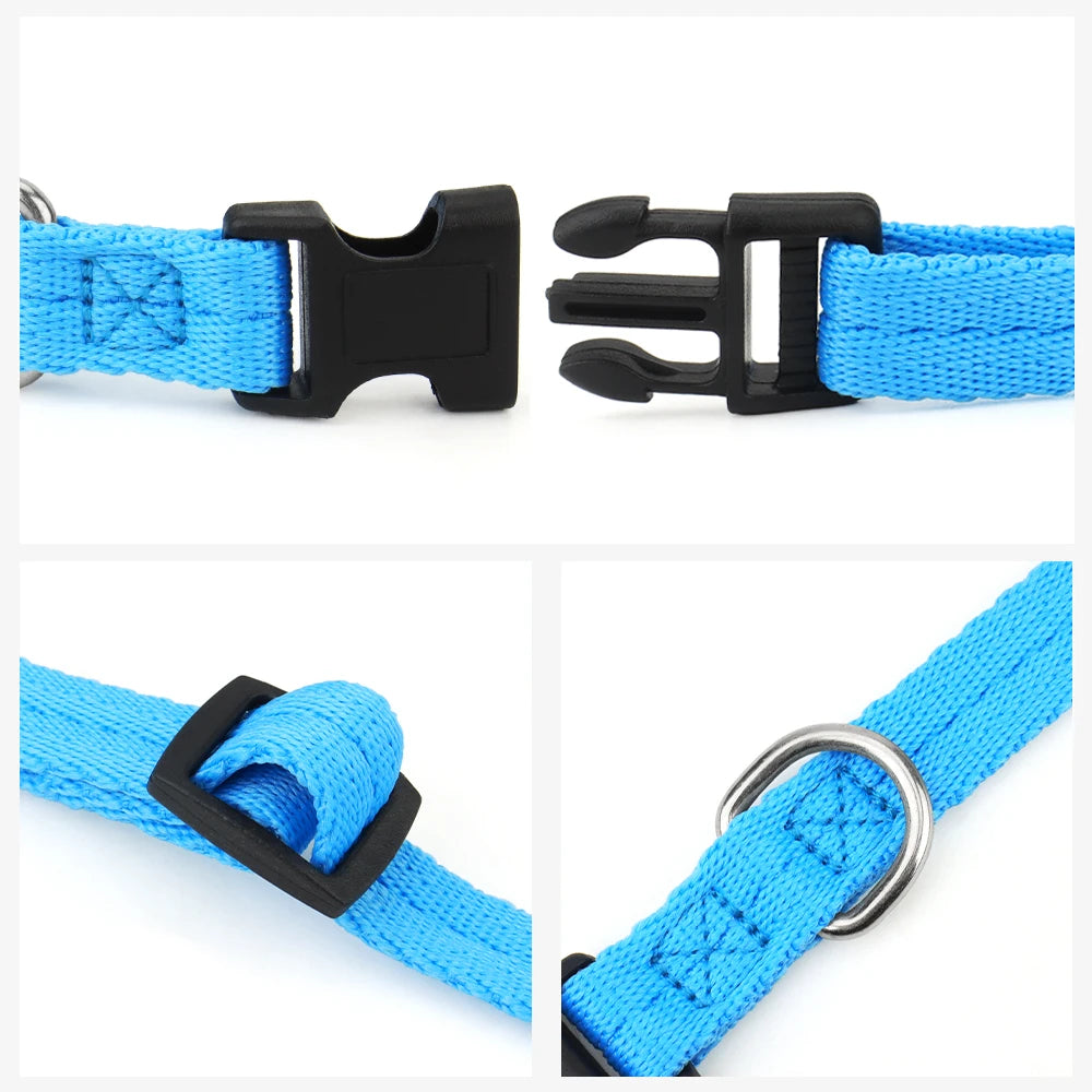 Adjustable Dog Collars for Small Medium Large Dogs,Thin Nylon Webbing & Quick Release Plastic Buckle Dog Collar Pet Accessories